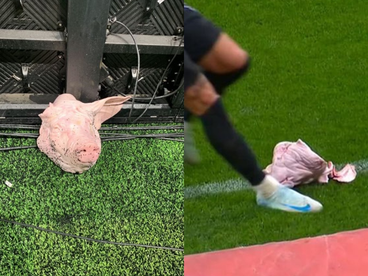 Cabeça de porco jogada no gramado do estádio do Corinthians — Foto: Reprodução
