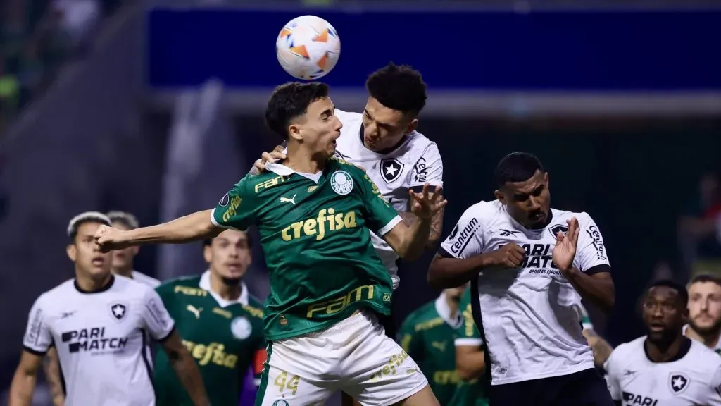 Botafogo e Palmeiras foram os