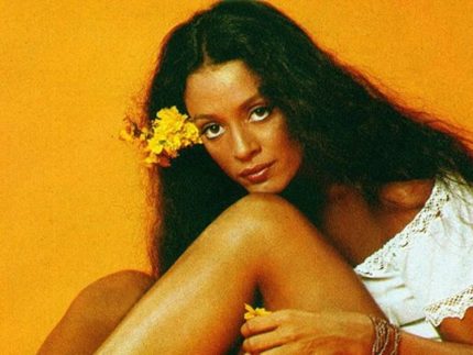 Este deve ser o maior problema: desaprendemos a fazer novela 2 Sonia Braga