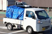Urso ataca trabalhador e saqueia seção de carne em supermercado no Japão