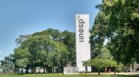 Unesp 2025 libera aprovados para segunda fase; confira